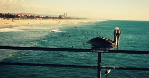 What 2014 Means for Lost Funds in California
